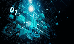 The CFO and Treasurer’s Guide to Digital Assets