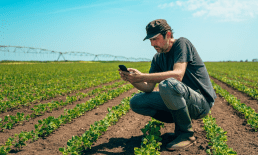 Farmers’ Outlook for Exports Sinks as Trade War Threatens Demand
